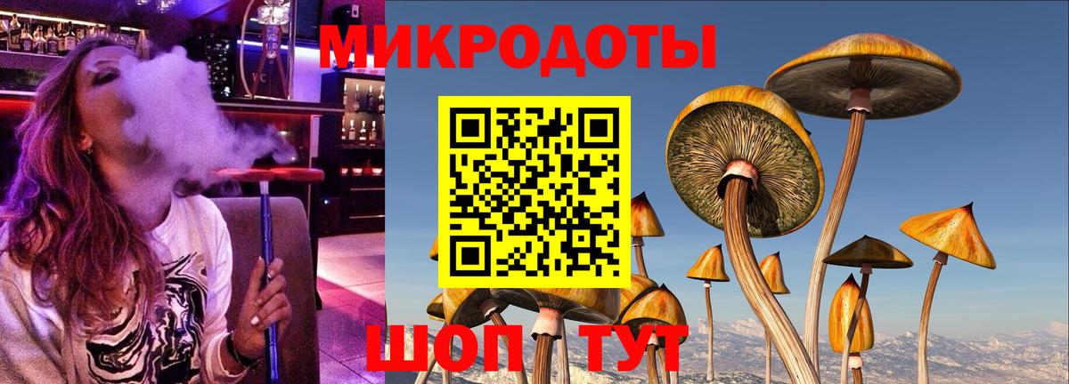 Красногорск  Псилоцибиновые грибы мухоморы  как найти закладки  Вход с VPN 