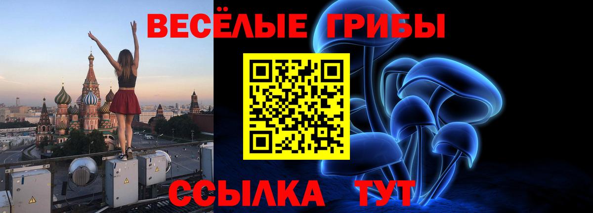 Псилоцибиновые грибы Psilocybine cubensis Красногорск